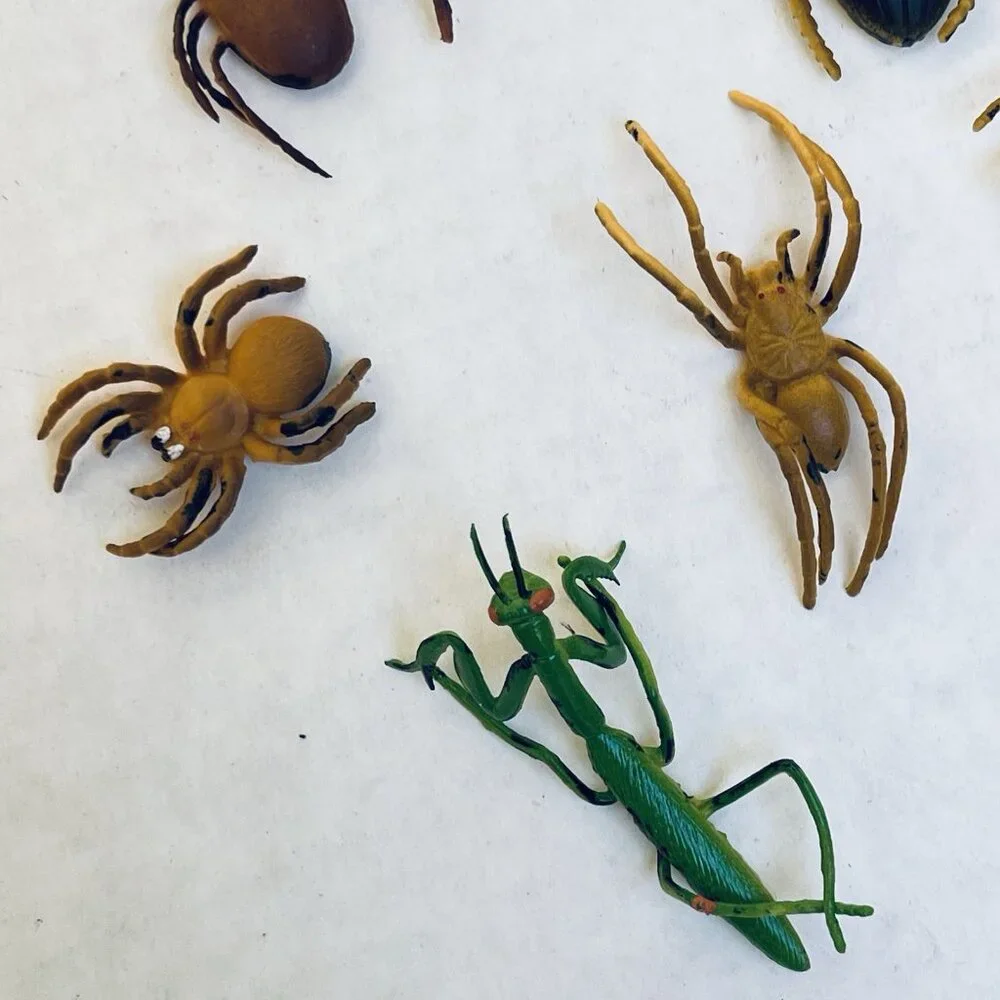 Insects Beetle Fly Weevil Mantis Spider Grasshopper 12 Pieces 2in Vintage 1989